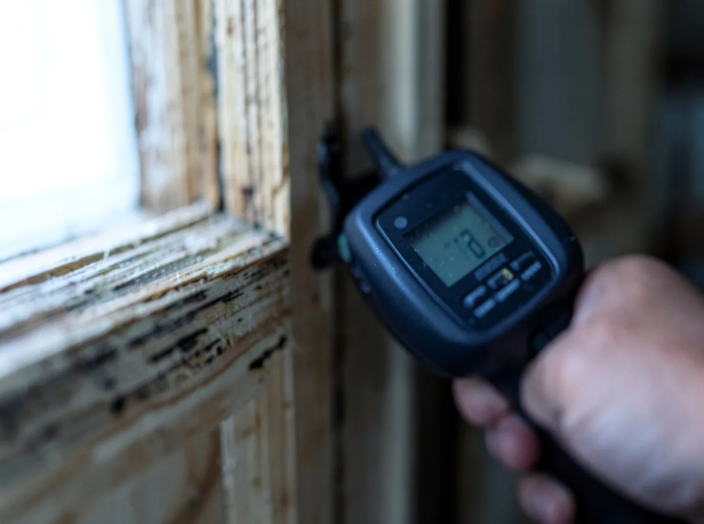 Moisture Inspection And Documentation in Union City, NJ
